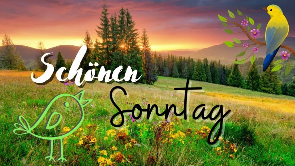 schönen sonntag bilder